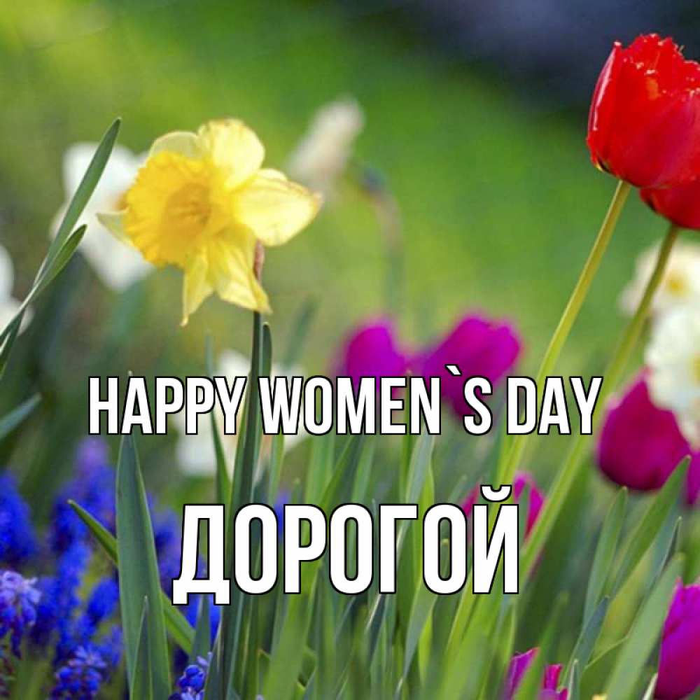 Greetings card с именем, Дорогой happy women`s day международный женский день 3 Greetings with text for free download 